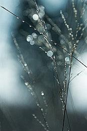 传《黑手党4》不会在夏季游戏节上公布